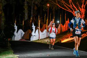 BIB: 6909
                            <button type="button" onclick="openModal(22511949)" class="btn btn-primary btn-sm float-right btn-popup" data-toggle="modal" data-target=".modal-high-quality">
                        <i class="fas fa-shopping-cart"></i> Add to Cart
                    </button>
                                            <button type="button" onclick="isThisMe(22511949, true)" class="btn btn-success btn-sm float-right btn-popup btn-isme hidden" data-toggle="tooltip" data-placement="bottom" title="นี่คือรูปของคุณใช่ไหม คลิกที่นี่เพื่อเอาเข้าอัลบั้ม">
                        <i class="fas fa-plus"></i> Add to album
                    </button>
                    <button type="button" onclick="isThisMe(22511949, false)" class="btn btn-warning btn-sm float-right btn-popup btn-isnotme hidden">
                        <i class="fas fa-ban"></i> Remove from album
                    </button>